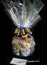 Medium Cellophane - Clear Cellophane - Blue & Yellow Bow - 24 Cookies and Brownies